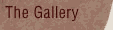 Visit the gallery